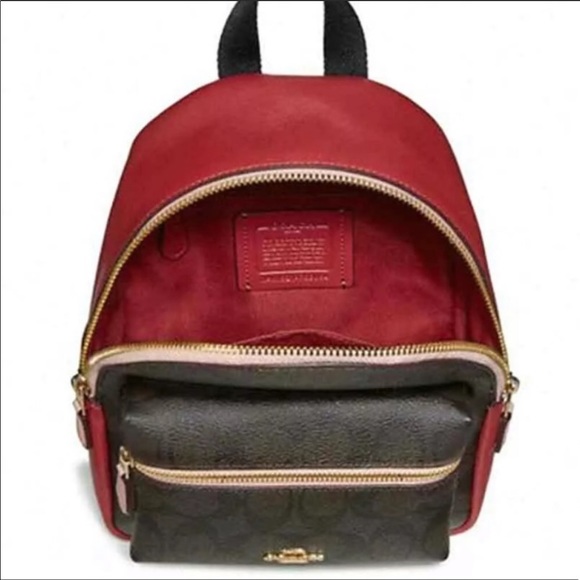 Gaby’sBags👜💕-NWT Coach Mini Backpack - Picture 5 of 5
